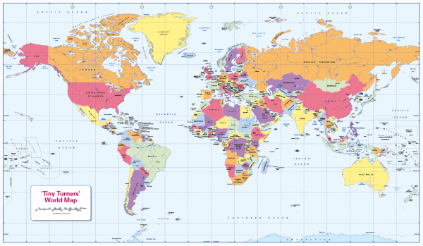 Personalised World Countries and Capitals map - colour blind friendly