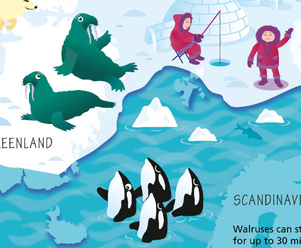 Children's Picture Arctic and Antarctic Map - Large