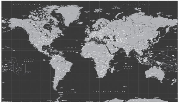 Decor black and white World Map
