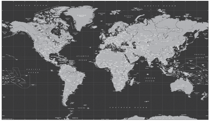 Decor black and grey World Map - Cosmographics Ltd