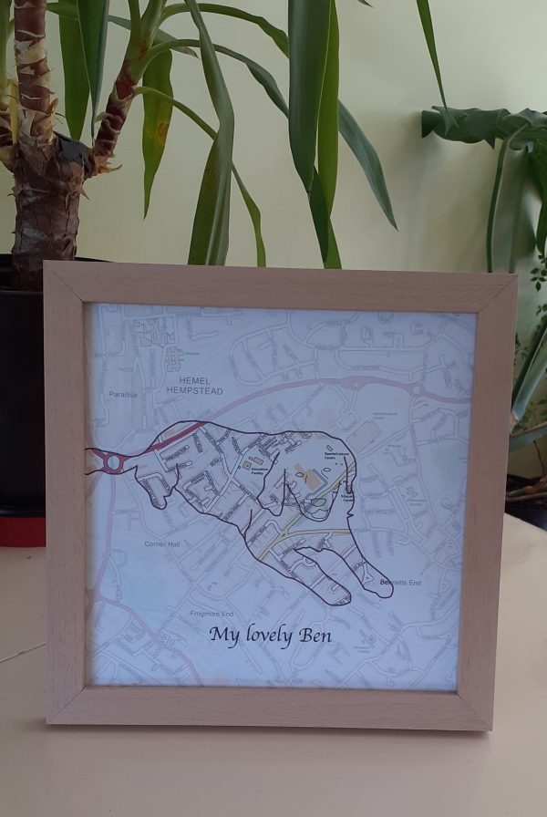 Personalised PetMaps® (UK free delivery) - Image 2