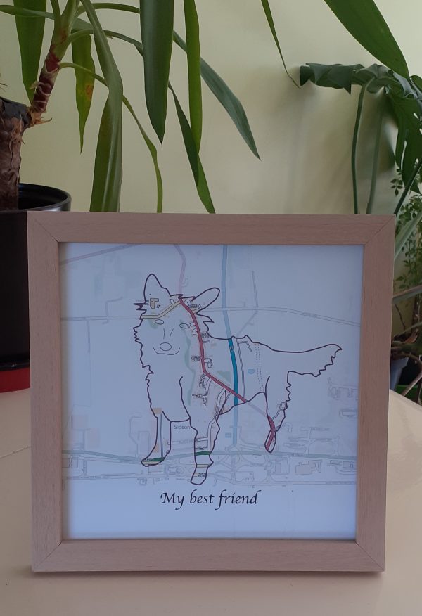 Personalised PetMaps® (UK free delivery)