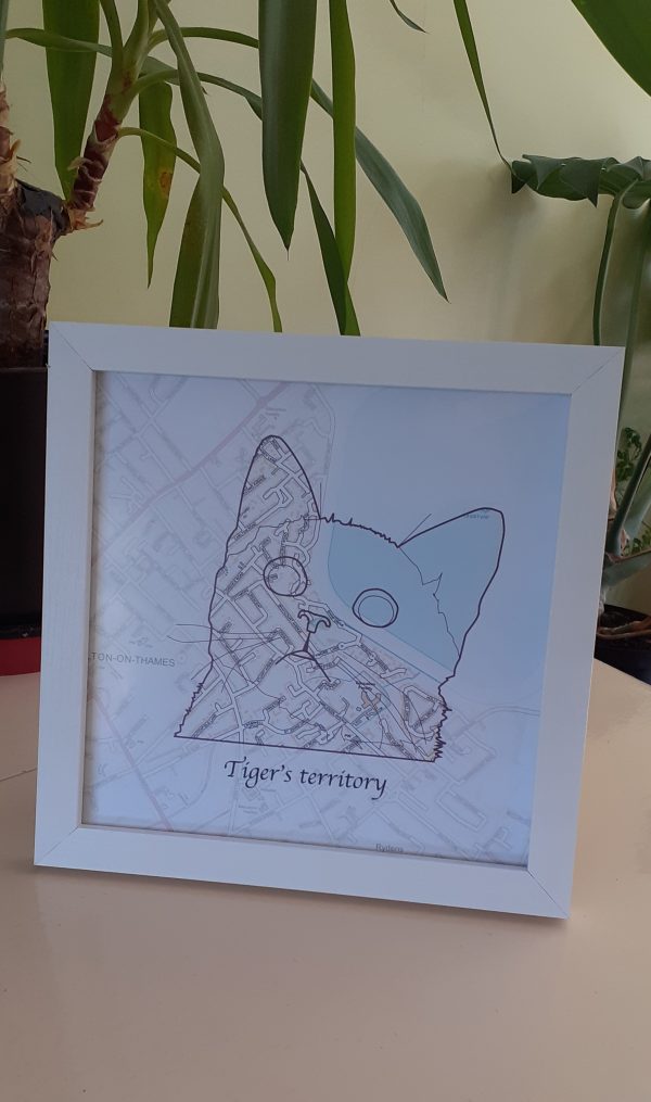 Personalised PetMaps® (UK free delivery) - Image 4