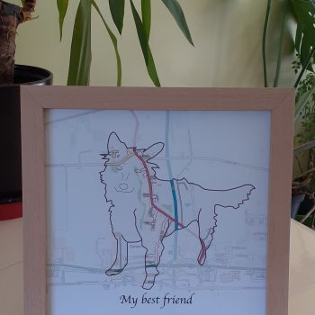 pet maps